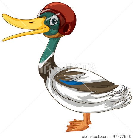 Cute duck wearing helmet on white background Cute duck wearing helmet on white background 97877668