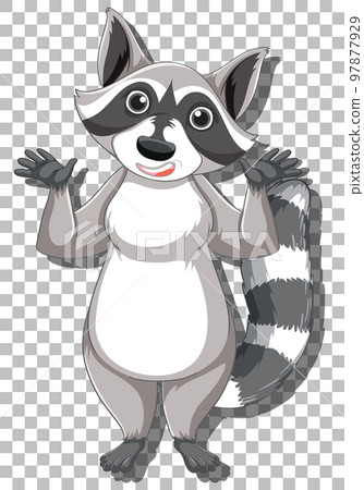 Raccoon cartoon character isolated Raccoon cartoon character isolated 97877929