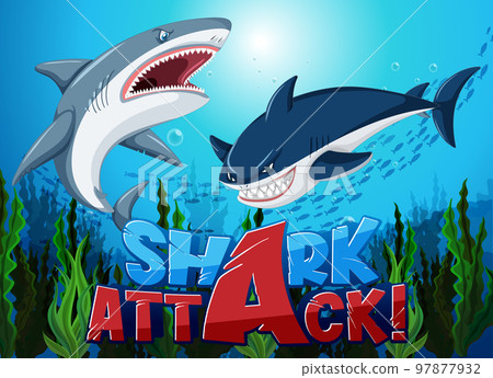 Shark attack icon with underwater sea animal Shark attack icon with underwater sea animal 97877932