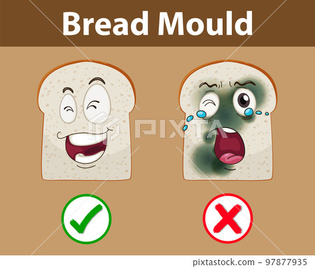 Inedible bread with mould Inedible bread with mould 97877935