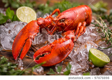 Lobster 97878898