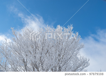 Winter scenery, hoarfrost Winter scenery, hoarfrost 97879108