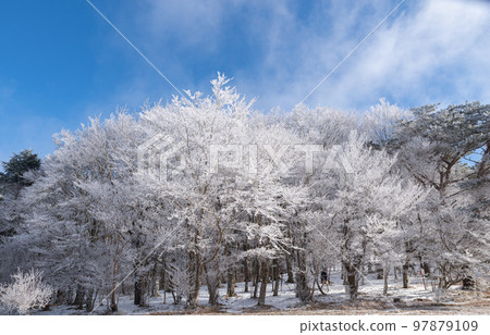 Winter scenery, hoarfrost Winter scenery, hoarfrost 97879109