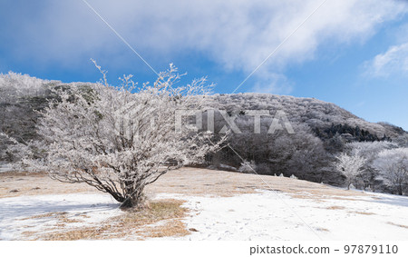 Winter scenery, hoarfrost Winter scenery, hoarfrost 97879110