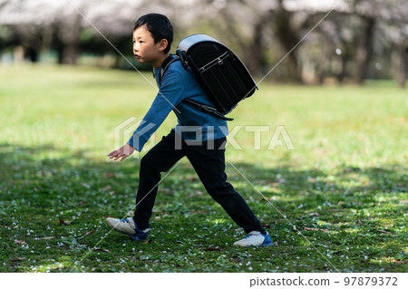 elementary student, primary school child, primary school student 97879372