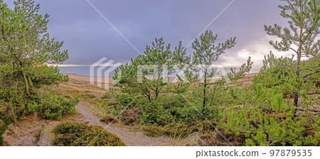Picture of the beach in Stillingen bay in Denmark during the day 97879535