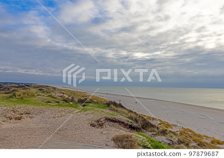 Panoramic view over the beach and dunes of the Danish coastal resort Balavand during the day 97879687