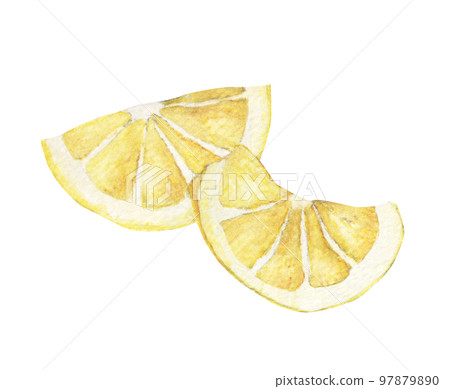 Fresh lemon. Watercolor illustration. Fresh lemon. Watercolor illustration. 97879890