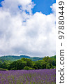 薰衣草的風景@群馬縣沼田市 97880449