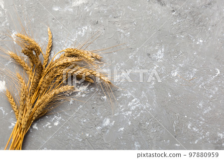 Sheaf of wheat ears close up and seeds on colored background. Natural cereal plant, harvest time concept. Top view, flat lay with copy space. world wheat crisis Sheaf of wheat ears close up and seeds on colored background. Natural cereal plant, harvest time concept. Top view, flat lay with copy space. world wheat crisis 97880959