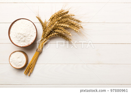 Flat lay of Wheat flour in wooden bowl with wheat spikelets on colored background. world wheat crisis Flat lay of Wheat flour in wooden bowl with wheat spikelets on colored background. world wheat crisis 97880961