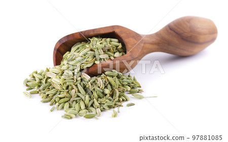 Fennel seeds in wooden spoon, isolated on white background. Green fennel grains. Spices and herbs. Fennel seeds in wooden spoon, isolated on white background. Green fennel grains. Spices and herbs. 97881085