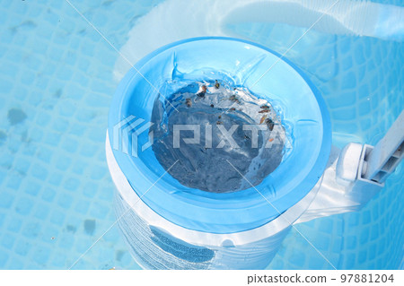 Top view of the blue skimmer for cleaning the pool in clear water. Contaminated pool cleaning concept Top view of the blue skimmer for cleaning the pool in clear water. Contaminated pool cleaning concept 97881204