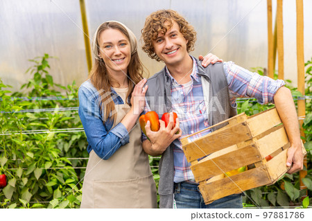 Joyous vegetable growers posing for the camera in a greenhouse 97881786