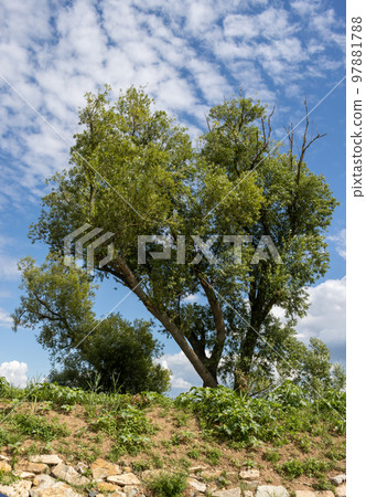 Country surrounding Bata Canal , Czechia / Slovakia Country surrounding Bata Canal , Czechia / Slovakia 97881788