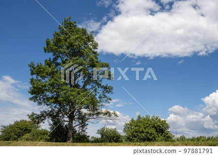 Country surrounding Bata Canal , Czechia / Slovakia Country surrounding Bata Canal , Czechia / Slovakia 97881791