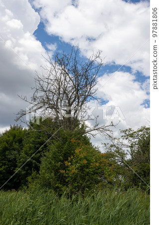 Country surrounding Bata Canal , Czechia / Slovakia Country surrounding Bata Canal , Czechia / Slovakia 97881806