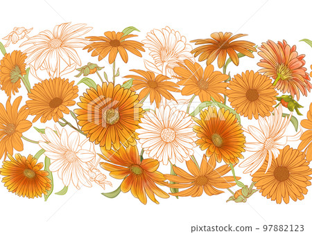 Calendula medicinal herbs and flowers. Calendula medicinal herbs and flowers. 97882123