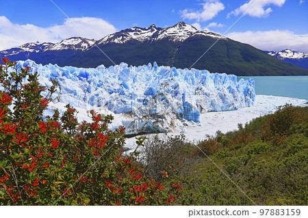 Perito Moreno Glacier in El Calafate, Patagonia of Argentina 97883159