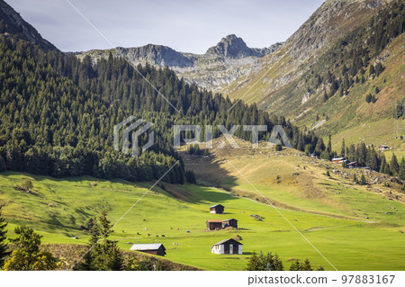Idyllic landscape of farms in Graubunden Canton, Swiss Alps, Switzerland Idyllic landscape of farms in Graubunden Canton, Swiss Alps, Switzerland 97883167