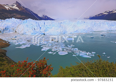 Perito Moreno Glacier in El Calafate, Patagonia of Argentina 97883231