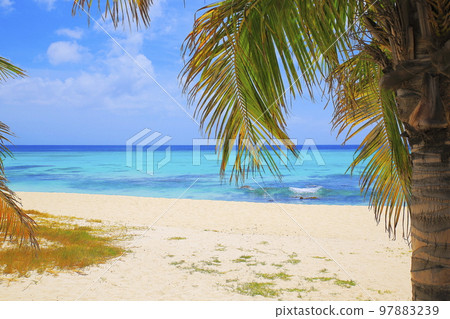 Secluded turquoise beach in Aruba, Caribbean Blue sea, Duth Antilles 97883239