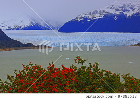 Perito Moreno Glacier in El Calafate, Patagonia of Argentina 97883518