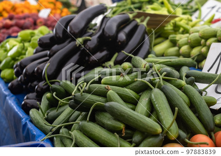 Green cucumbers and violet eggplants on market 97883839