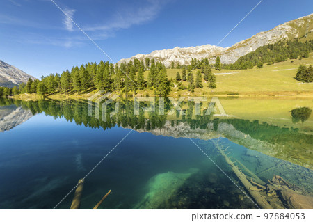 Alpine Lake Palpuogna at Albula Pass in Graubunden alps, Grisons, Switzerland 97884053