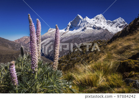 Huascaran Mountain massif in Cordillera Blanca, snowcapped Andes, Ancash, Peru Huascaran Mountain massif in Cordillera Blanca, snowcapped Andes, Ancash, Peru 97884242