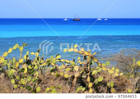 Secluded turquoise beach in Aruba, Caribbean Blue sea, Duth Antilles Secluded turquoise beach in Aruba, Caribbean Blue sea, Duth Antilles 97884653