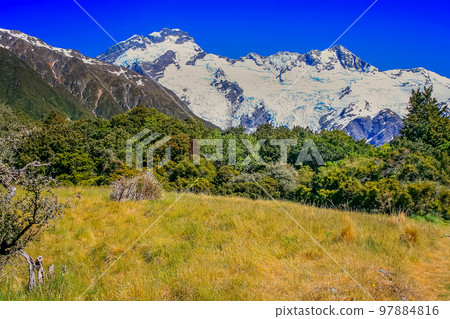 Hooker Valley meadows and Mt Cook massif, South Island of New Zealand 97884816