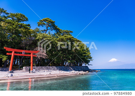 (Shizuoka Prefecture) Nishiizu Toda, Morokuchi Shrine Torii and Mt. Fuji 97884980