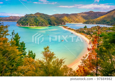 Idyllic beach in abel tasman national park, New Zealand South Island Idyllic beach in abel tasman national park, New Zealand South Island 97884982