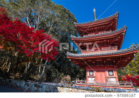 #Hofukuji #Iyama Hofukuji #三層塔 97886187