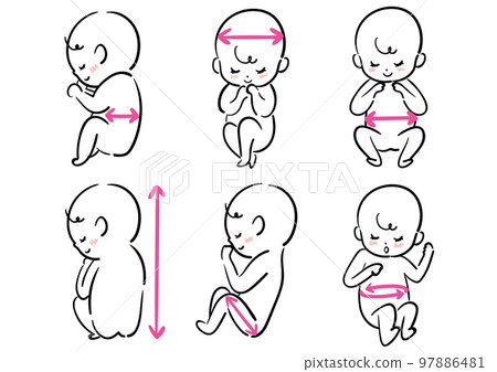 fetal measurement set 97886481