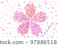 Mai of cherry blossoms 97886518