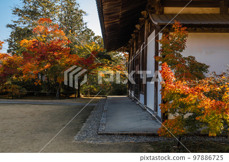 #法福寺#井山法福寺#佛堂 #法福寺#井山法福寺#佛堂 97886725