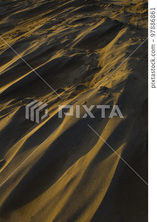 冬季的鳥取沙丘及其形態 鳥取縣 鳥取沙丘 冬季的鳥取沙丘及其形態 鳥取縣 鳥取沙丘 97886861