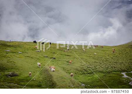 Grossglockner High Alpine Road in Austria Grossglockner High Alpine Road in Austria 97887450