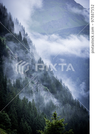 Deep clouds over the fir trees in the Austrian Alps - Vorarlberg region Deep clouds over the fir trees in the Austrian Alps - Vorarlberg region 97887552