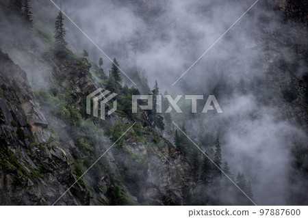 Deep clouds over the fir trees in the Austrian Alps - Vorarlberg region Deep clouds over the fir trees in the Austrian Alps - Vorarlberg region 97887600