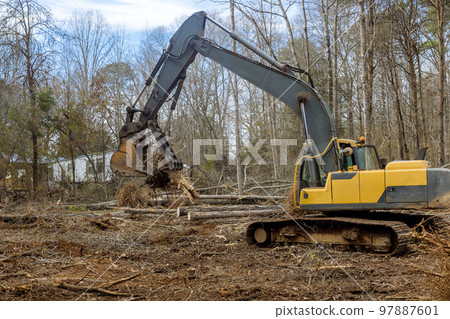 Removal of stump roots from trees which were cut down to clear land for home construction was done with tractor backhoe. Removal of stump roots from trees which were cut down to clear land for home construction was done with tractor backhoe. 97887601