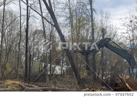 In construction site that involved subdivision of housing development, skid steer tractor used to clear land uproot trees that had been uprooted In construction site that involved subdivision of housing development, skid steer tractor used to clear land uproot trees that had been uprooted 97887602