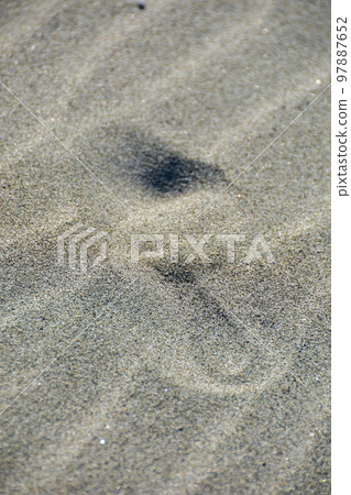 冬天沙灘上的腳印 97887652