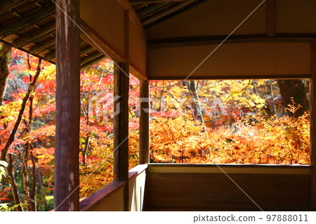 Autumn scenery from the pavilion 97888011