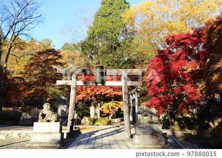 The inner garden of Komine Shrine with beautiful autumn leaves 97888015