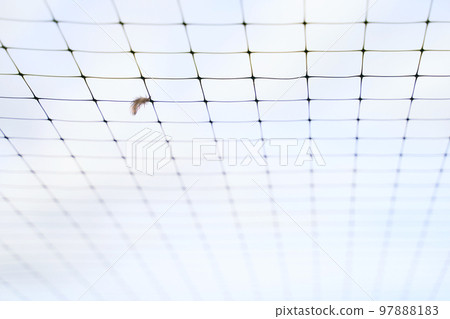Small feather stuck in the wire mesh roof of the bird breeding farm on blue sky background Small feather stuck in the wire mesh roof of the bird breeding farm on blue sky background 97888183