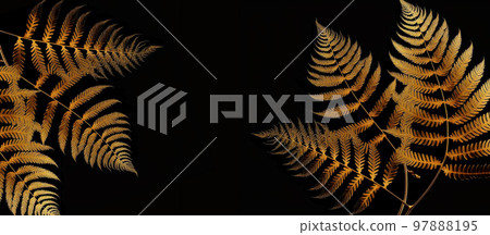 tropical gold leaf forest glow in the dark background. High contrast. 3d illustration 97888195