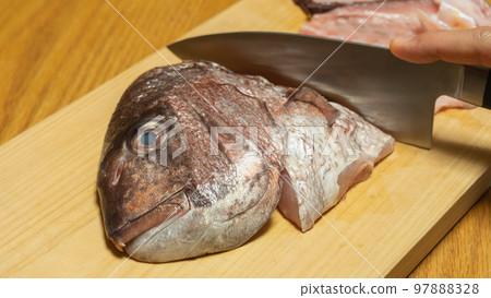 Cutting sea bream with a kitchen knife|Cooking scene of raw fish Cutting sea bream with a kitchen knife|Cooking scene of raw fish 97888328